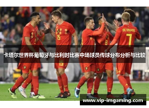 卡塔尔世界杯葡萄牙与比利时比赛中场球员传球分布分析与比较