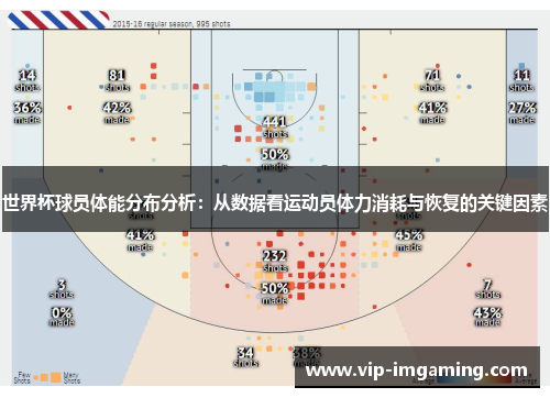 世界杯球员体能分布分析：从数据看运动员体力消耗与恢复的关键因素