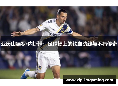 亚历山德罗·内斯塔：足球场上的铁血防线与不朽传奇