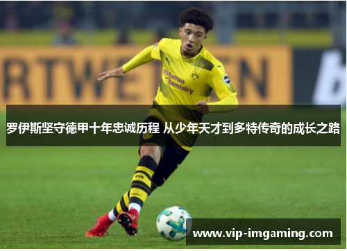 罗伊斯坚守德甲十年忠诚历程 从少年天才到多特传奇的成长之路