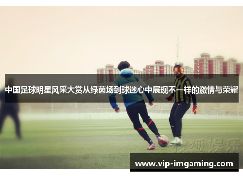 中国足球明星风采大赏从绿茵场到球迷心中展现不一样的激情与荣耀