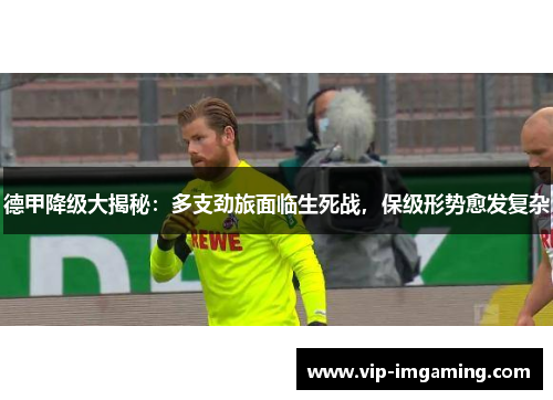 德甲降级大揭秘：多支劲旅面临生死战，保级形势愈发复杂