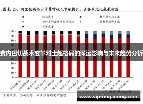 费内巴切战术变革对土超格局的深远影响与未来趋势分析