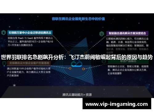 世界羽联排名急剧飙升分析：飞汀杰蔚阀敏崛起背后的原因与趋势