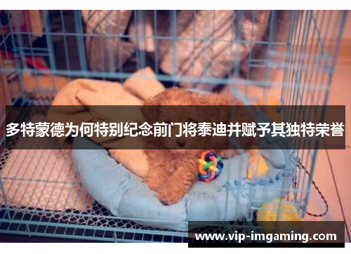 多特蒙德为何特别纪念前门将泰迪并赋予其独特荣誉