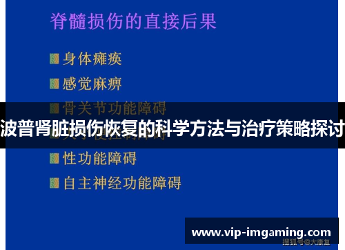 波普肾脏损伤恢复的科学方法与治疗策略探讨