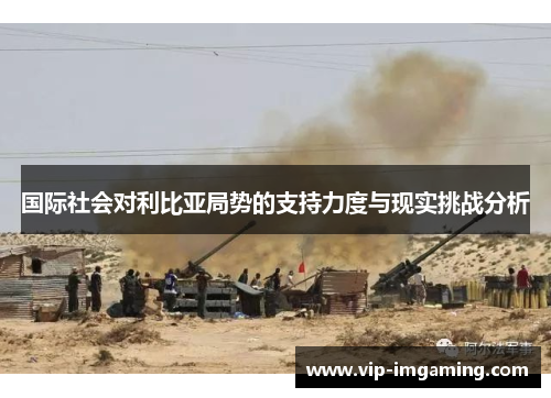国际社会对利比亚局势的支持力度与现实挑战分析