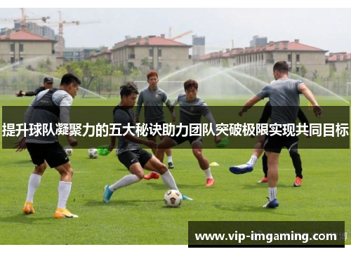 提升球队凝聚力的五大秘诀助力团队突破极限实现共同目标