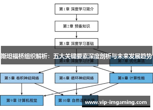 斯坦福桥组织解析：五大关键要素深度剖析与未来发展趋势