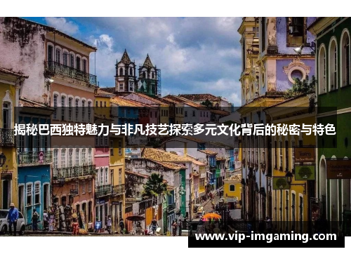 揭秘巴西独特魅力与非凡技艺探索多元文化背后的秘密与特色