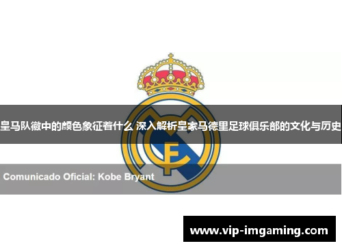 皇马队徽中的颜色象征着什么 深入解析皇家马德里足球俱乐部的文化与历史